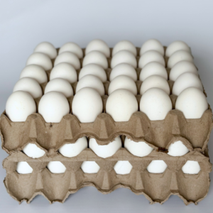 huevo carton 1.8kg